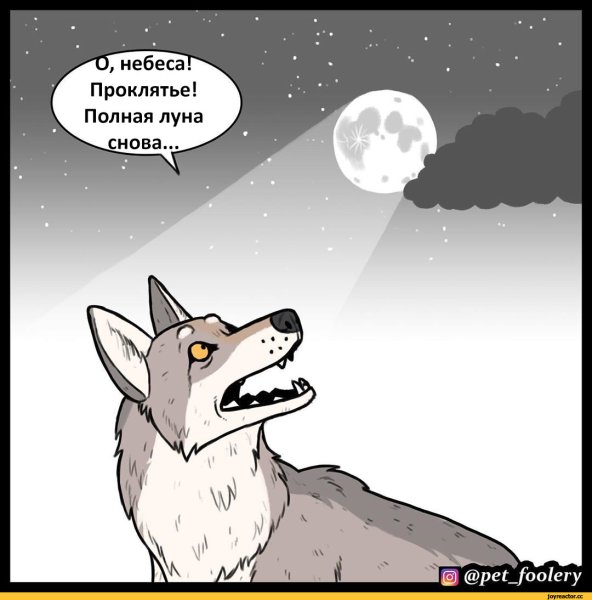 Анекдоты про оборотней