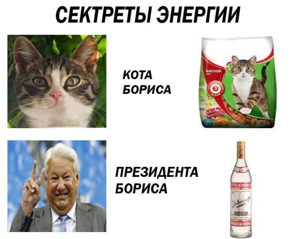 Энергия кота Бориса
