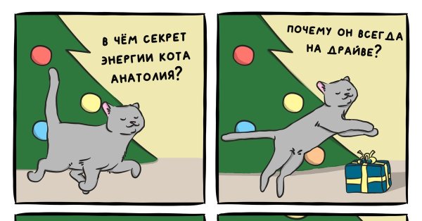 Кот Борис прикол