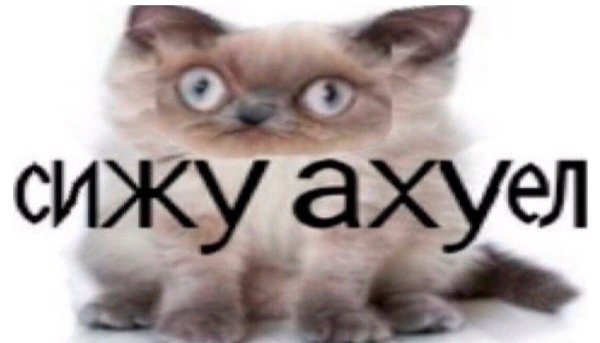 Сижу аху Мем