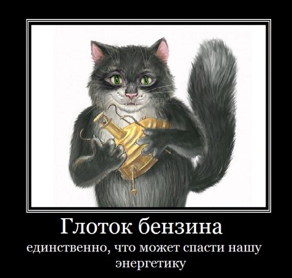 Кот Бегемот мастер и Маргарита