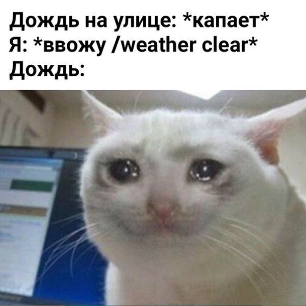 Плачущиё кот