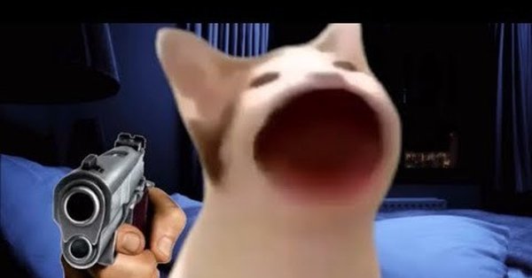 Кот с открытым ртом мум