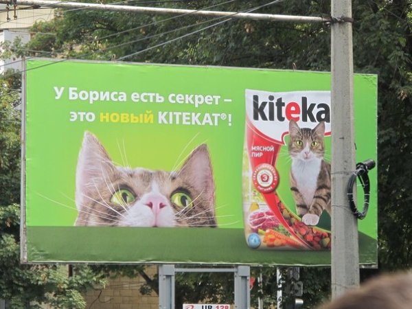 Кот Борис энергия кота Китикет