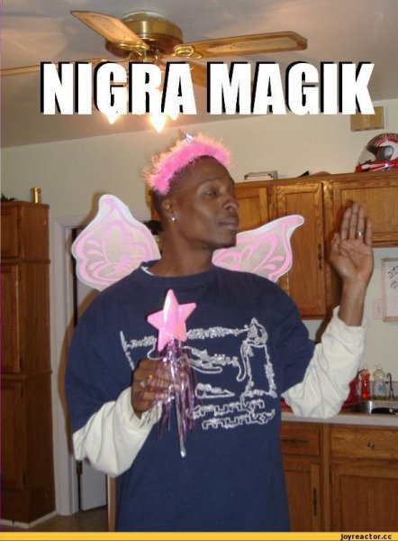 Негр и нигга