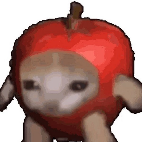 Кот яблоко гиф
