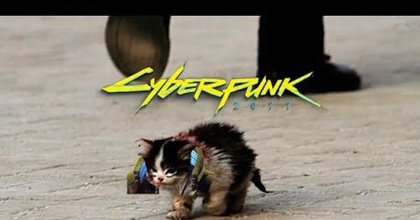 RJN Z J,zpfntkmyj DS;NBDE