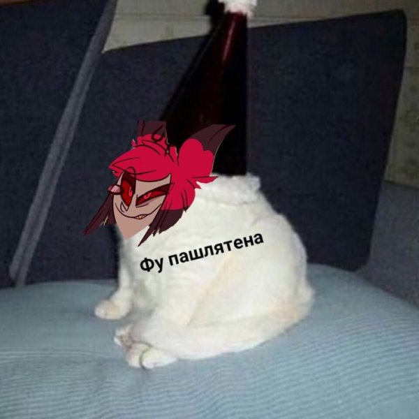 Кот в колпаке Мем