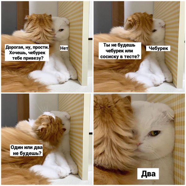 Привет юмор