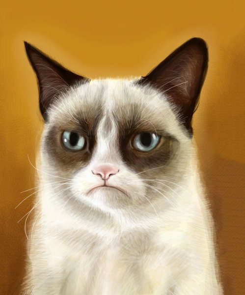 Кот Грампи Grumpy