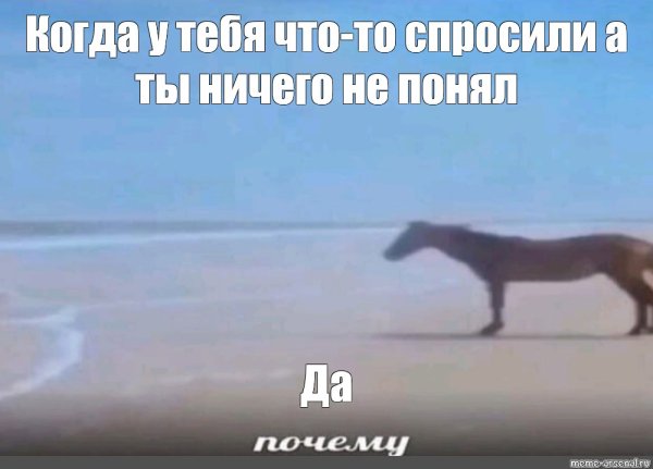 Почему лошадь