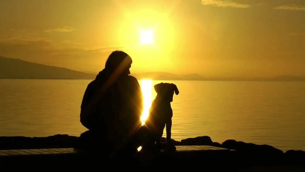 Человек с собакой на закате