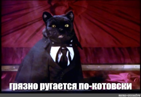 Кот Салем мемы