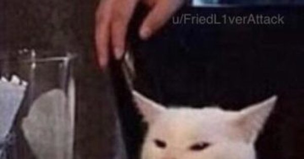 Пашлятена кот