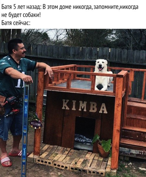 Папа никакой собаки в доме Мем