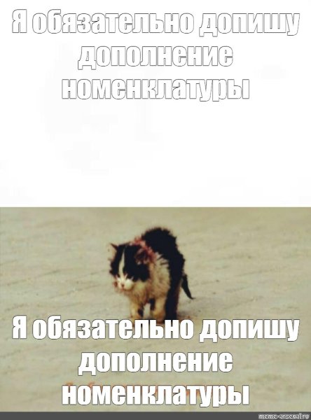 Я обязатлеьо выдиву МПМ