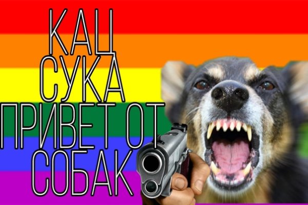 Мемы про Каца и собак