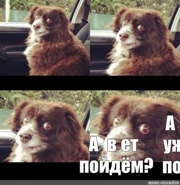 Мем с серой собакой