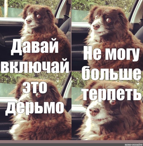 Давай включай уже это дерьмо