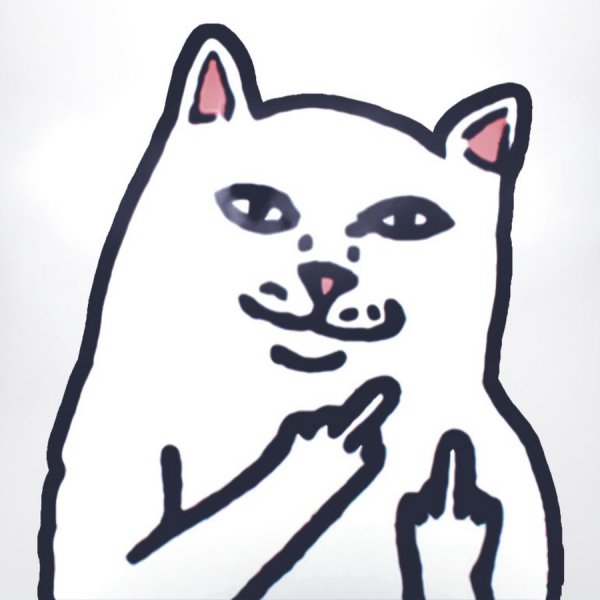 Кот показывает фак