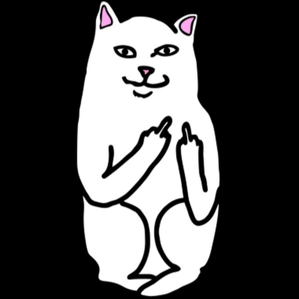 Кот с факом