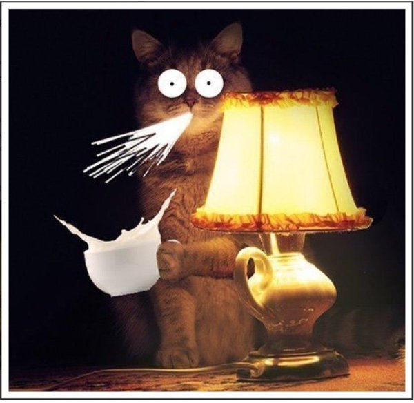 Котик с лампой