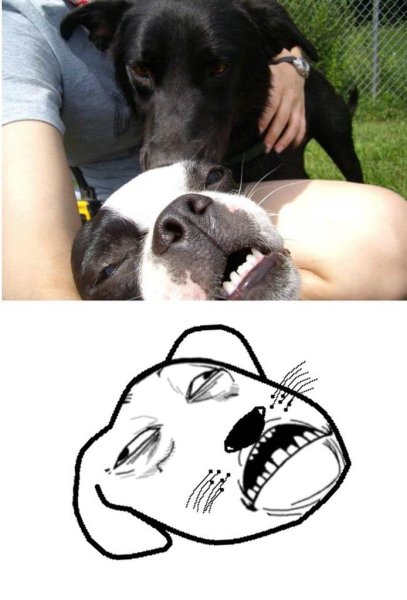 Прикольные смешнявки