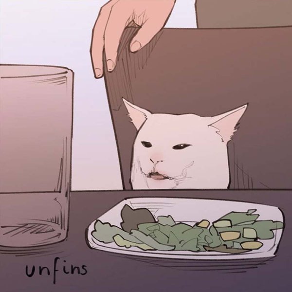 Недовольный кот за столо