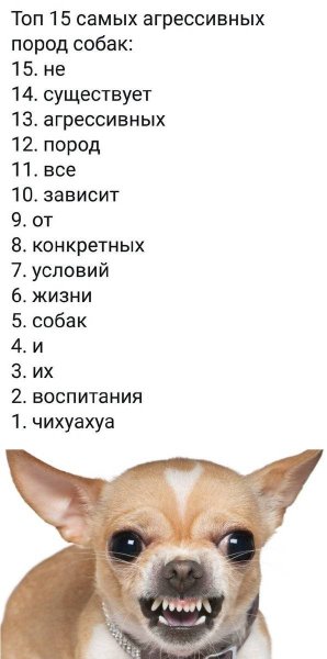 Список самых злых собак