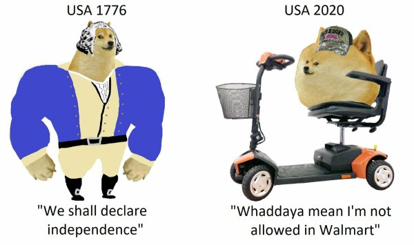 Мемы про двух собак