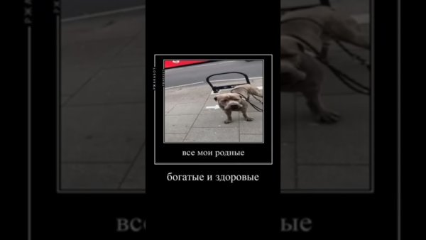 Футаж все Мои родные богатые и Здоровые