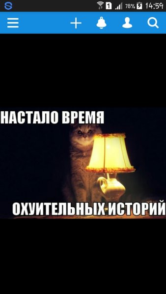 Кот с лампой