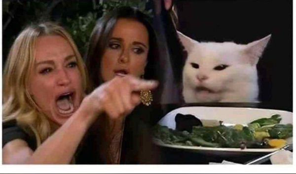 Милые котики