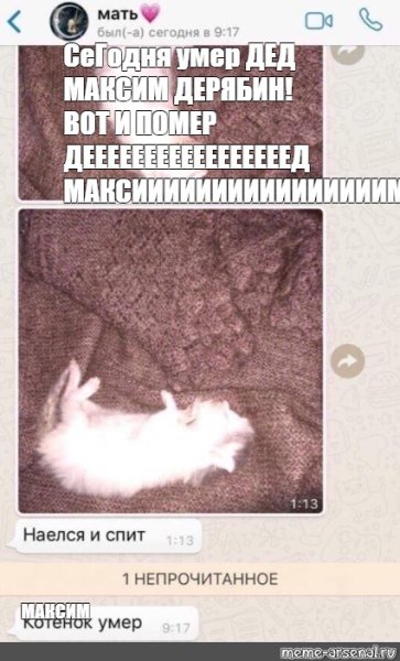 Котенок наелся Мем