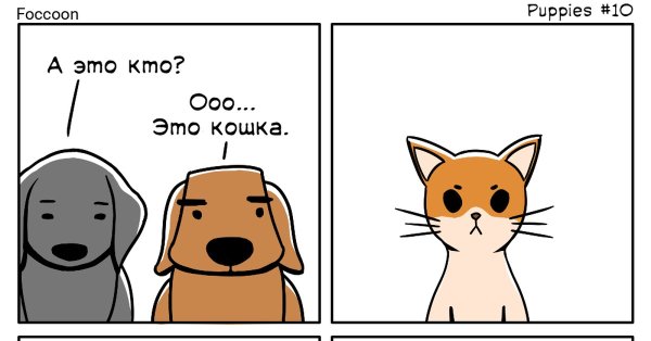 Мемы с собаками