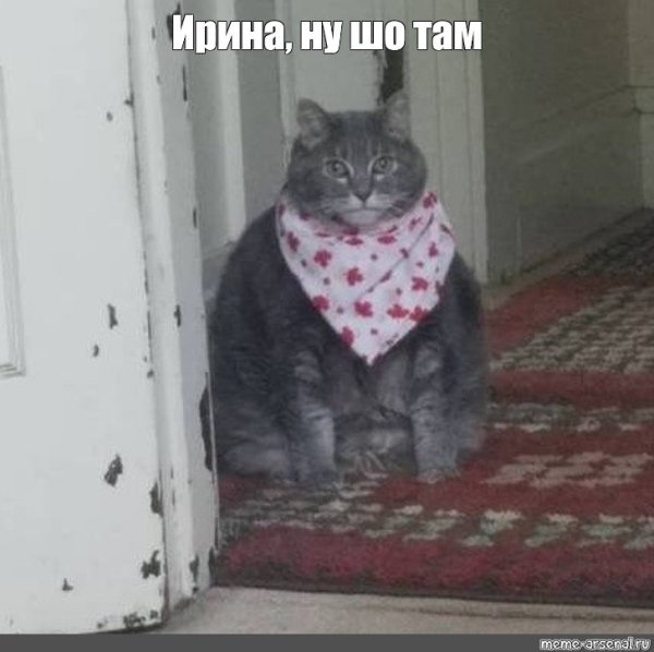 Неси черешню кот