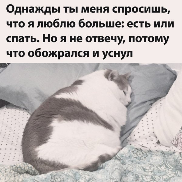 Однажды ты меня спросишь что я люблю больше есть или спать