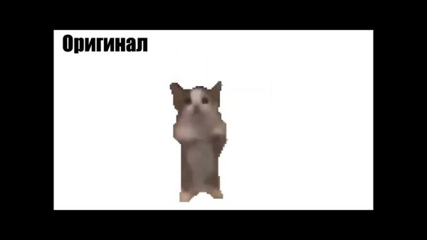 Танцующий котик