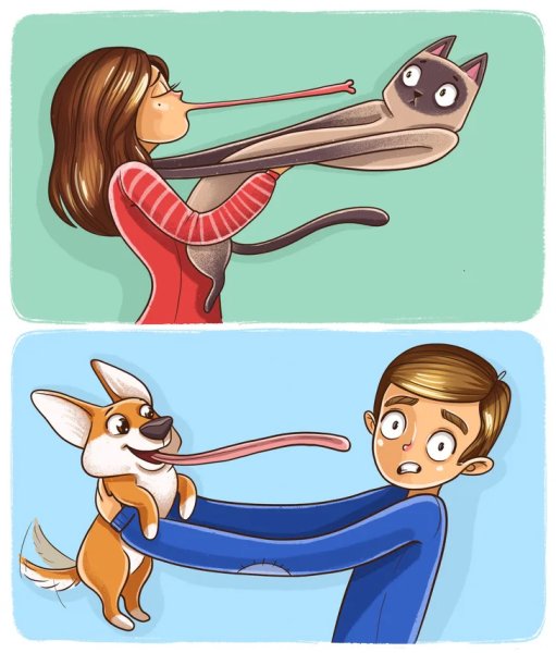 Разница между котом и собакой