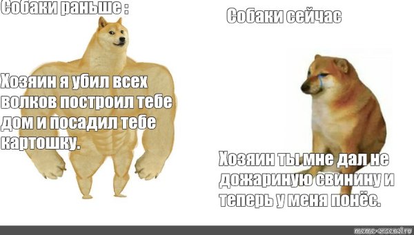 Мем собака пук