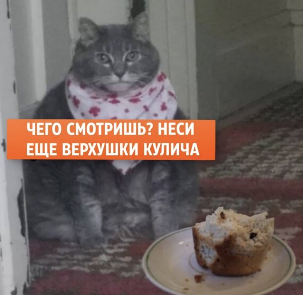Объелся куличей