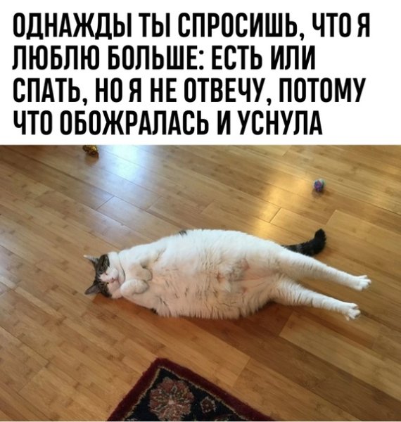 Наелся и спит котенок
