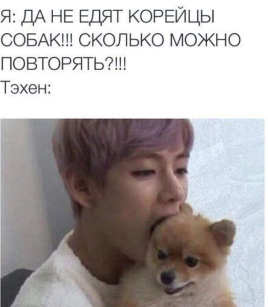 Корейцы и собаки