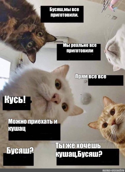 Хочу кушац кот