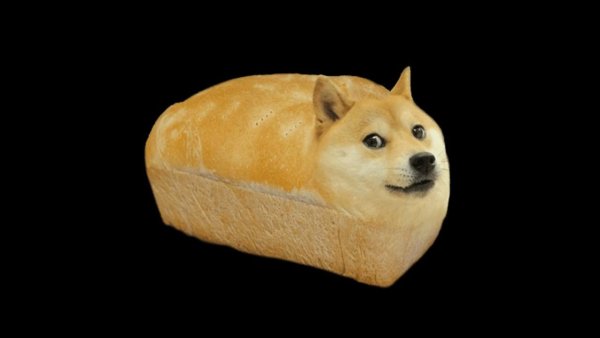 Собака в хлебе
