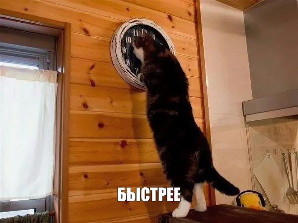 Мем кот пора