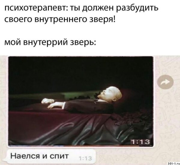 Наелся и спит котенок