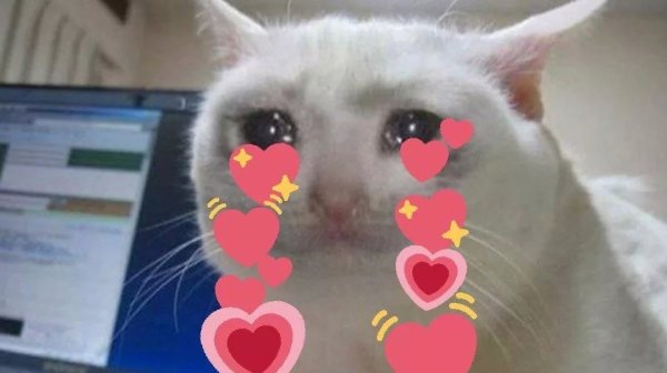 Котик с сердечком