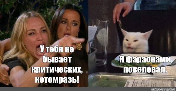 Мемы с котом за столом и девушками