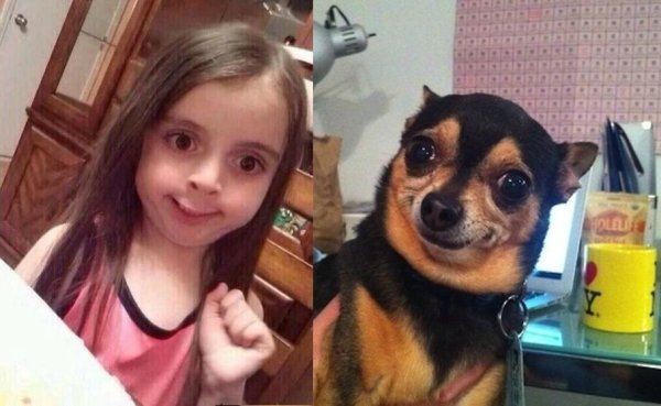 Смешные мемы с надписями